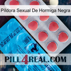 Píldora Sexual De Hormiga Negra new14